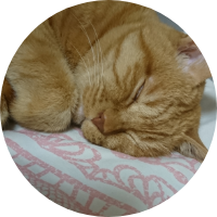 茶トラ柄のテト